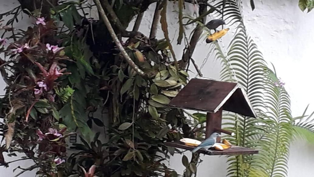 Suites Beija-Flor Araquari Dış mekan fotoğraf